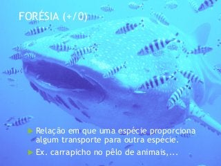 FORÉSIA (+/0)
 Relação em que uma espécie proporciona
algum transporte para outra espécie.
 Ex. carrapicho no pêlo de animais,...
 