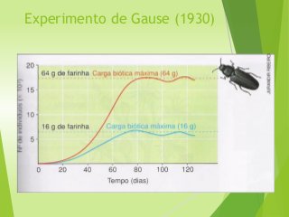 Experimento de Gause (1930)
 