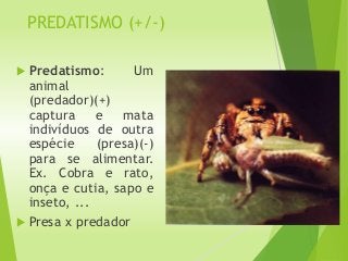 PREDATISMO (+/-)
 Predatismo: Um
animal
(predador)(+)
captura e mata
indivíduos de outra
espécie (presa)(-)
para se alimentar.
Ex. Cobra e rato,
onça e cutia, sapo e
inseto, ...
 Presa x predador
 