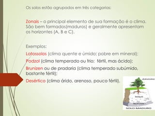 CANIBALISMO
 Seres da mesma espécie, predando-se.
 