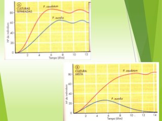 Relacoes ecológicas