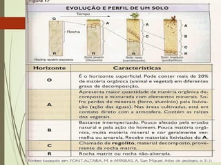 PROTOCOOPERAÇÃO
Capivara e gavião-carrapateiro
 