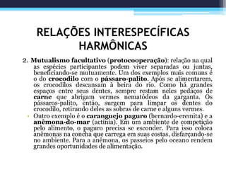 RELAÇÕES INTERESPECÍFICAS
HARMÔNICAS
2. Mutualismo facultativo (protocooperação): relação na qual
as espécies participantes podem viver separadas ou juntas,
beneficiando-se mutuamente. Um dos exemplos mais comuns é
o do crocodilo com o pássaro-palito. Após se alimentarem,
os crocodilos descansam à beira do rio. Como há grandes
espaços entre seus dentes, sempre restam neles pedaços de
carne que abrigam vermes nematódeos da garganta. Os
pássaros-palito, então, surgem para limpar os dentes do
crocodilo, retirando deles as sobras de carne e alguns vermes.
• Outro exemplo é o caranguejo paguro (bernardo-eremita) e a
anêmona-do-mar (actínia). Em um ambiente de competição
pelo alimento, o paguro precisa se esconder. Para isso coloca
anêmonas na concha que carrega em suas costas, disfarçando-se
no ambiente. Para a anêmona, os passeios pelo oceano rendem
grandes oportunidades de alimentação.
 