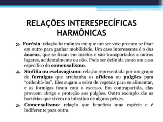 RELAÇÕES INTERESPECÍFICAS
HARMÔNICAS
3. Forésia: relação harmônica em que um ser vivo procura se fixar
em outro para ganhar mobilidade. Um caso interessante é o dos
ácaros, que se fixam em insetos e são transportados a outros
lugares, acidentalmente ou não. Pode ser definida como um caso
específico do comensalismo.
4. Sinfilia ou esclavagismo: relação representada por um grupo
de formigas que arrebanha os afídeos ou pulgões para
“ordenhá-los”. Eles sugam a seiva de vegetais para se alimentar,
e as formigas ficam com o excesso. Em contrapartida, elas
proveem abrigo e proteção aos pulgões. Outro exemplo são as
bactérias que vivem no intestino de alguns peixes.
5. Comensalismo: relação que beneficia uma espécie e é
indiferente para outra.
 