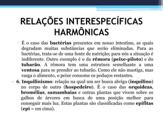 RELAÇÕES INTERESPECÍFICAS
HARMÔNICAS
▫ É o caso das bactérias presentes em nosso intestino, as quais
degradam muitas substâncias que serão eliminadas. Para as
bactérias, trata-se de uma fonte de nutrição; para nós a situação é
indiferente. Outro exemplo é o da rêmora (peixe-piloto) e do
tubarão. A rêmora tem uma estrutura semelhante a uma
ventosa para se prender ao tubarão. Como ele não mastiga, mas
rasga o alimento, o peixe consome os pedaços restantes.
• 6. Inquilinismo: relação na qual um ser busca abrigo (inquilino)
no corpo de outro (hospedeiro). É o caso das orquídeas,
bromélias, samambaias e outras plantas que vivem sobre os
galhos de árvores em busca de uma posição melhor para
conseguir mais luz. Estas plantas são classificadas como epífitas
(epi = em cima).
 