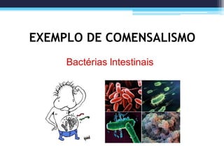 EXEMPLO DE COMENSALISMO
 