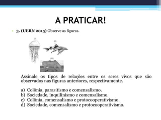 A PRATICAR!
• 3. (UERN 2015) Observe as figuras.
Assinale os tipos de relações entre os seres vivos que são
observados nas figuras anteriores, respectivamente.
a) Colônia, parasitismo e comensalismo.
b) Sociedade, inquilinismo e comensalismo.
c) Colônia, comensalismo e protocooperativismo.
d) Sociedade, comensalismo e protocooperativismo.
 