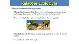 5) Relações Intra-específicas Desarmônicas
I) Competição Intra-específica: Ocorre entre indivíduos da mesma espécie, e é
motivada por disputas por território, alimento e companheiro sexual.
Obs.: A competição é um fator que regula o tamanho da população
II) Canibalismo: Relação na qual um organismo se alimenta de outro da mesma
espécie.
Ex: Louva-Deus; Aranha viúva negra.
Relações Ecológicas
Relações Ecológicas
 