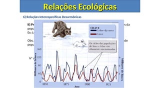 6) Relações Interespecíficas Desarmônicas
II) Predatismo: Ocorre quando organismo predadores matam indivíduos da
população de presas para deles se alimentarem.
Ex: Leões e girafas.
Obs.: A relação presa-predador pode ser um fator regulador da densidade
populacional de ambos.
Presa
Predador
Nº de indivíduos
Tempo
Relações Ecológicas
Relações Ecológicas
 