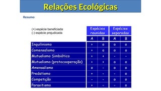 Resumo
Relações Ecológicas
Relações Ecológicas
(+) espécie beneficiada
(-) espécie prejudicada
 