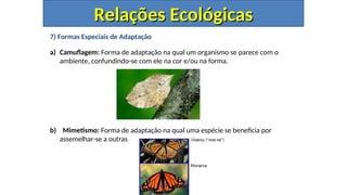 7) Formas Especiais de Adaptação
a) Camuflagem: Forma de adaptação na qual um organismo se parece com o
ambiente, confundindo-se com ele na cor e/ou na forma.
b) Mimetismo: Forma de adaptação na qual uma espécie se beneficia por
assemelhar-se a outras
Relações Ecológicas
Relações Ecológicas
 