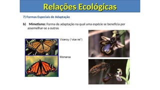 7) Formas Especiais de Adaptação
b) Mimetismo: Forma de adaptação na qual uma espécie se beneficia por
assemelhar-se a outras
Relações Ecológicas
Relações Ecológicas
 