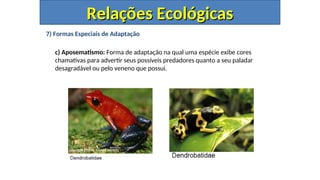 7) Formas Especiais de Adaptação
c) Aposematismo: Forma de adaptação na qual uma espécie exibe cores
chamativas para advertir seus possíveis predadores quanto a seu paladar
desagradável ou pelo veneno que possui.
Relações Ecológicas
Relações Ecológicas
 