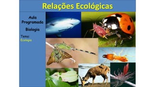 Aula
Programada
Biologia
Tema:
Ecologia
Relações Ecológicas
 