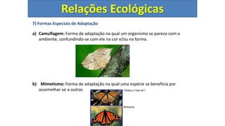 7) Formas Especiais de Adaptação
a) Camuflagem: Forma de adaptação na qual um organismo se parece com o
ambiente, confundindo-se com ele na cor e/ou na forma.
b) Mimetismo: Forma de adaptação na qual uma espécie se beneficia por
assemelhar-se a outras
Relações Ecológicas
 