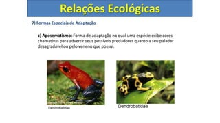 7) Formas Especiais de Adaptação
c) Aposematismo: Forma de adaptação na qual uma espécie exibe cores
chamativas para advertir seus possíveis predadores quanto a seu paladar
desagradável ou pelo veneno que possui.
Relações Ecológicas
 