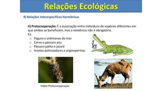 4) Relações Interespecíficas Harmônicas
II) Protocooperação: É a associação entre indivíduos de espécies diferentes em
que ambos se beneficiam, mas a existência não é obrigatória.
Ex:
o Paguro e anêmonas do mar
o Cervo e pássaro anu
o Pássaro palito e jacaré
o Insetos polinizadores e angiospermas
Relações Ecológicas
Vídeo Protocooperação
 