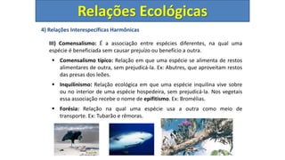 4) Relações Interespecíficas Harmônicas
III) Comensalismo: É a associação entre espécies diferentes, na qual uma
espécie é beneficiada sem causar prejuízo ou benefício a outra.
 Comensalismo típico: Relação em que uma espécie se alimenta de restos
alimentares de outra, sem prejudicá-la. Ex: Abutres, que aproveitam restos
das presas dos leões.
 Inquilinismo: Relação ecológica em que uma espécie inquilina vive sobre
ou no interior de uma espécie hospedeira, sem prejudicá-la. Nos vegetais
essa associação recebe o nome de epifitismo. Ex: Bromélias.
 Forésia: Relação na qual uma espécie usa a outra como meio de
transporte. Ex: Tubarão e rêmoras.
Relações Ecológicas
 