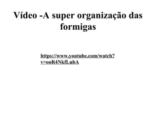 Vídeo -A super organização das 
formigas
https://www.youtube.com/watch?
v=ooR4NkfLubA
 