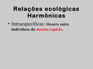 Relações ecológicas
Harmônicas
• Intraespecíficas: Ocorre entre
indivíduos da mesma espécie.
 