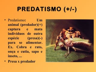 PREDATISMO (+/-)
• Predatismo: Um
animal (predador)(+)
captura e mata
indivíduos de outra
espécie (presa)(-)
para se alimentar.
Ex. Cobra e rato,
onça e cutia, sapo e
inseto, ...
• Presa x predador
 