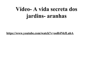 Vídeo- A vida secreta dos
jardins- aranhas
https://www.youtube.com/watch?v=ooR4NkfLubA
 