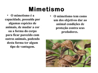 Mimetismo
• O mimetismo é a
capacidade, possuída por
algumas espécies de
animais, de mudar a cor
ou a forma do corpo
para ficar parecido com
outros animais, podendo
desta forma ter algum
tipo de vantagem.
• O mimetismo tem como
um dos objetivos dar ao
animal condições de
proteção contra seus
predadores.
 