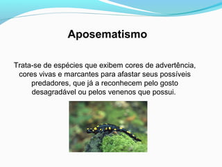 Trata-se de espécies que exibem cores de advertência,
cores vivas e marcantes para afastar seus possíveis
predadores, que já a reconhecem pelo gosto
desagradável ou pelos venenos que possui.
Aposematismo
 