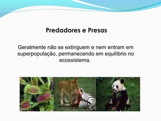 Predadores e Presas
Geralmente não se extinguem e nem entram em
superpopulação, permanecendo em equilíbrio no
ecossistema.
 