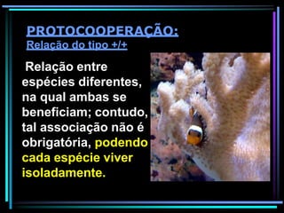 PROTOCOOPERAÇÃO:
Relação do tipo +/+
Relação entre
espécies diferentes,
na qual ambas se
beneficiam; contudo,
tal associação não é
obrigatória, podendo
cada espécie viver
isoladamente.
 