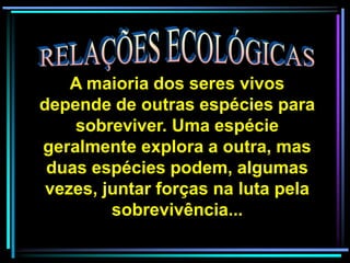 A maioria dos seres vivos
depende de outras espécies para
sobreviver. Uma espécie
geralmente explora a outra, mas
duas espécies podem, algumas
vezes, juntar forças na luta pela
sobrevivência...
 