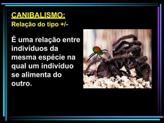 É uma relação entre
indivíduos da
mesma espécie na
qual um indivíduo
se alimenta do
outro.
CANIBALISMO:
Relação do tipo +/-
 