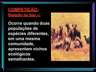 COMPETIÇÃO:
Relação do tipo -/-
Ocorre quando duas
populações de
espécies diferentes,
em uma mesma
comunidade,
apresentam nichos
ecológicos
semelhantes.
 