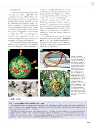 Parasitismo                                 vetor não é atingido pelo parasita, funcio­
                                                             nando apenas como agente contaminador. É
              O parasitismo é uma relação desarmôni­
                                                             por isso que muitas campanhas de combate
           ca em que uma espécie, o parasita, utiliza
                                                             a doenças parasitárias visam à eliminação do
           o organismo de outra, o hospedeiro, como
                                                             vetor, como ocorre no caso da dengue.
           hábitat e fonte de alimento, necessariamente
                                                                Espécies parasitas ocorrem entre vírus,
           causando-lhe prejuízos. Em geral, os prejuí­
                                                             bactérias, protozoários, fungos, vegetais e
           zos causados pelo parasita não chegam a de­       animais. Os parasitas que vivem na superfí­
           bilitar o hospedeiro de forma significativa, e    cie externa de seus hospedeiros são denomi­
           dificilmente ocasionam a sua morte. Essa re­      nados ectoparasitas. Exemplos bem conhe­
           lação envolve grande especialização de am­        cidos de ectoparasitas são os carrapatos, as
           bas as partes. O hospedeiro se especializa em     pulgas e os fungos que causam micoses no
           se proteger dos danos causados pelo parasita,     ser humano.
           enquanto este se especializa em evitar essas         Os parasitas que vivem dentro de seus
           reações de defesa e obter os recursos de que      hospedeiros são denominados endoparasi-
           necessita sem eliminar seu hospedeiro.            tas. É o caso, por exemplo, dos vírus bacte­
              Diversos parasitas usam um terceiro orga­      riófagos que infectam bactérias e da lombri­
           nismo, que funciona como vetor de dispersão       ga (Ascaris lumbricoides), que parasita o tubo
           entre um hospedeiro e outro. Geralmente, o        digestório do ser humano.

             A                                                C



                                                                                                              Em (A), micrografia
                                                                                                              eletrônica de transmissão
                                                                                                              de vários bacteriófagos
                                                                                                              aderidos à membrana de
                                                                                                              uma bactéria injetando
                                                                                                              seu material genético. O
                                                                                                              vírus utiliza as organelas
                                                                                                              e moléculas da bactéria
                                                                                                              para se reproduzir. Em
                                                                                                              (B), carrapatos-estrela
                                                              D                                               entre os pelos de um
                                                                                                              cão, um exemplo de
                                                                                                              ectoparasitismo. Em (C),
                                                                                                              uma lombriga (Ascaris
                                                                                                              lumbricoides), endoparasita
                                                                                                              humano. Em (D), Cuscuta
                                                                                                              racemosa, ou cipó-de-
                                                                                                              -chumbo, conhecida
             B                                                                                                também como fios-de-ovos
                                                                                                              por sua aparência. É uma
                                                                                                              planta sem clorofila nem
                                                                                                              folhas que cresce sobre
                                                                                                              outras plantas. Ela lança
                                                                                                              suas raízes para o interior
                                                                                                              dos galhos e ramos e retira
                                                                                                              dali a seiva elaborada que a
                                                                                                              sustenta.
                                                                                                              

                 Saiba mais

              Um vírus, uma bactéria, um pulgão e a vespa
                 As vespas Aphidius ervi colocam seus ovos no corpo de pulgões Acyrthosiphon pisum, que servem de alimento
              para as suas larvas. Se o pulgão hospedar a bactéria Hamiltonella defensa em seu organismo, porém, as larvas da
              vespa não se desenvolvem bem e morrem.
                 Mas há uma condição: apenas as bactérias que estiverem infectadas por determinado vírus conseguem proteger o
              pulgão. O material genético desse vírus determina a produção de uma proteína que é tóxica para as larvas da vespa.
                 Dessa forma, o vírus que infecta a bactéria protege o pulgão de servir de alimento para a vespa. Isso mostra quão
              complexas e entremeadas podem ser as relações ecológicas entre os organismos.


                                                                                                                                             279




4P_EMB3_LA_U03_C13_268A287.indd 279                                                                                                     29.10.09 14:21:15
 