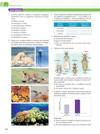13     Relações ecológicas


              Atividades
           1.	 Em seu caderno, nomeie as relações ecológicas       3.	 Copie a tabela de relações intraespecíficas abaixo em
               existentes entre os seguintes conjuntos de seres        seu caderno e complete-a com ,  ou 0. Utilize  se
               vivos.                                                  a relação for benéfica,  se for prejudicial e 0 se for
               a)	lobos e cervos;                                      neutra, para cada um dos indivíduos envolvidos.
               b)	morcegos e frutos;                                         Relação                        Efeito sobre o             Efeito sobre o
               c)	 seres humanos e tênias;                                  ecológica                        indivíduo A                indivíduo B
               d)	bovinos e grama;                                         Sociedade                      /////////////////////////   //////////////////////
               e)	gaviões e cobras;                                        Competição                     /////////////////////////   //////////////////////
               f)	 aranhas e insetos;                                        Colônia                      /////////////////////////   //////////////////////
               g)	carrapatos e cachorro;
                                                                   4.	 Responda às questões a seguir.
               h)	tamanduá e cupins;
                                                                       a)	O que são feromônios?
           2.	 Observe as imagens abaixo e escreva uma legenda         b)	Qual a função deles?
               para cada uma delas de forma a explicar a relação       c)	Cite um exemplo de ser vivo que utiliza fero-
               ecológica entre os indivíduos representados.               mônios.
                                                                   5.	 Observe a ilustração abaixo.
                                                                                                                                                cabeça




                                                                                                                                                       tórax

                                                                        mandíbula                                    mandíbula




                                                                                                                                                     abdome
                                                                                                    Macho
                                                                                                                                            Rainha
                                                                                                 abdome
                                                                           Operário                                   Soldado

                                                                       Sabendo que as diferenças anatômicas entre os
                                                                       cupins estão relacionadas à função de cada indiví-
                                                                       duo, responda:
                                                                       a)	Por que os soldados têm a mandíbula mais de-
                                                                          senvolvida?
                                                                       b)	Por que a rainha tem o abdome maior?
                                                                   6.	 O gráfico a seguir apresenta a altura de mudas de
                                                                       plantas da espécie X 120 dias após o plantio, com e
                                                                       sem micorrizas.
                                                                              Altura das mudas




                                                                                                     sem                     com
                                                                                                  micorrizas              micorrizas

                                                                       Responda:
                                                                       a)	Qual o nome da relação ecológica da qual as mi-
                                                                           corrizas fazem parte?
                                                                       b)	 Por que as plantas com micorrizas cresceram mais?

     282




4P_EMB3_LA_U03_C13_268A287.indd 282                                                                                                                        29.10.09 14:23:23
 
