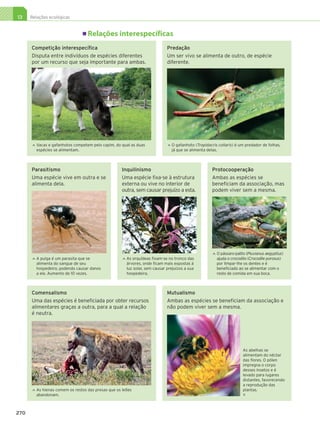 13     Relações ecológicas


                                           Relações interespecíficas

              Competição interespecífica                                                Predação
              Disputa entre indivíduos de espécies diferentes                           Um ser vivo se alimenta de outro, de espécie
              por um recurso que seja importante para ambas.                            diferente.




                  V
                   acas e gafanhotos competem pelo capim, do qual as duas                 O
                                                                                            gafanhoto (Tropidacris collaris) é um predador de folhas,
              




                                                                                       
                  espécies se alimentam.                                                   já que se alimenta delas.



              Parasitismo                                     Inquilinismo                                      Protocooperação
              Uma espécie vive em outra e se                  Uma espécie fixa-se à estrutura                   Ambas as espécies se
              alimenta dela.                                  externa ou vive no interior de                    beneficiam da associação, mas
                                                              outra, sem causar prejuízo a esta.                podem viver sem a mesma.




                                                                                                                    O
                                                                                                                     pássaro-palito (Pluvianus aegyptius)
                                                                                                                




                  A
                   pulga é um parasita que se                    A
                                                                   s orquídeas fixam-se no tronco das              ajuda o crocodilo (Crocodile porosus)
              




                                                              




                  alimenta do sangue de seu                       árvores, onde ficam mais expostas à               por limpar-lhe os dentes e é
                  hospedeiro, podendo causar danos                luz solar, sem causar prejuízos a sua             beneficiado ao se alimentar com o
                  a ele. Aumento de 10 vezes.                     hospedeira.                                       resto de comida em sua boca.



              Comensalismo                                                              Mutualismo
              Uma das espécies é beneficiada por obter recursos                         Ambas as espécies se beneficiam da associação e
              alimentares graças a outra, para a qual a relação                         não podem viver sem a mesma.
              é neutra.




                                                                                                                                  As abelhas se
                                                                                                                                  alimentam do néctar
                                                                                                                                  das flores. O pólen
                                                                                                                                  impregna o corpo
                                                                                                                                  desses insetos e é
                                                                                                                                  levado para lugares
                                                                                                                                  distantes, favorecendo
                                                                                                                                  a reprodução das
                  A
                   s hienas comem os restos das presas que os leões                                                              plantas.
              




                  abandonam.                                                                                                      



     270




3P_EMB3_LA_U03_C13_268A287.indd 270                                                                                                                          26.10.09 17:20:42
 