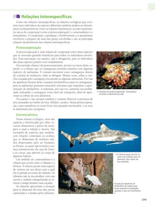 Relações interespecíficas
              Como nas relações intraespecíficas, as relações ecológicas que ocor-
           rem entre indivíduos de espécies diferentes também podem ser harmô-
           nicas ou desarmônicas. Entre as relações harmônicas, as mais importan-
           tes são as de cooperação (como a protocooperação), o comensalismo e o
           mutualismo. A competição, a predação, o herbivorismo e o parasitismo
           envolvem o prejuízo de uma das partes envolvidas e são as principais
           relações desarmônicas das relações interespecíficas.
               Protocooperação
              A protocooperação é uma relação de cooperação entre duas espécies
           que se associam gerando benefícios para todos os indivíduos envolvi-
           dos. Essa associação, no entanto, não é obrigatória, pois os indivíduos
           das duas espécies podem viver isoladamente.
              Um exemplo clássico de protocooperação, já visto no início deste ca-
           pítulo, é a relação que os caranguejos-ermitões mantêm com algumas
           espécies de anêmonas. É comum encontrar esses caranguejos dentro
           de conchas de moluscos, onde se abrigam. Muitas vezes, sobre a con-
           cha ocupada pelo caranguejo encontram-se algumas anêmonas. Por trás
           da aparência bizarra desse conjunto há benefícios para os caranguejos,
           pois as anêmonas possuem tentáculos urticantes que impedem a apro-
           ximação de predadores. A anêmona, por sua vez, aumenta sua mobili-
           dade utilizando o caranguejo como meio de transporte, além de apro-           E
                                                                                          xemplo de protocooperação. Caranguejo-

                                                                                     
                                                                                         -eremita e anêmona-do-mar.
           veitar as sobras de seus alimentos.
              Nos pastos e nas savanas também é comum observar a presença de
           aves pousadas no lombo de bois, búfalos, cavalos. Nessa protocoopera-
           ção, esses mamíferos se veem livres dos parasitas incômodos, e as aves
           se alimentam dos carrapatos.

               Comensalismo
              Nessa relação ecológica, uma das
           espécies é beneficiada por obter re-
           cursos alimentares a partir da outra,
           para a qual a relação é neutra. São
           exemplos de espécies que estabele-
           cem relações comensais os urubus,
           que se alimentam de resíduos sóli-
           dos dispensados pelo ser humano;
           as hienas, as quais aproveitam a car-
           niça remanescente da caça de leões;
           e as cracas, que aderem ao corpo de
                                                                                                             A
                                                                                                              rêmora pega carona no
                                                                                                         




           algumas baleias.                                                                                  ventre do tubarão para se
              Um símbolo do comensalismo é a                                                                 alimentar dos restos de
                                                                                                             seu alimento.
           relação que ocorre entre o tubarão e a
           rêmora. A rêmora possui uma espécie
           de ventosa em seu dorso com a qual
           ela se prende ao ventre do tubarão. Os
           tubarões não se incomodam com essa
           carona e acabam transportando as rê-
           moras consigo durante suas caçadas.                                                           As garças-vaqueiras se
              As rêmoras aproveitam a situação                                                           alimentam de insetos que
                                                                                                         ficam expostos à predação
           para se alimentar do resto das presas                                                         quando a vaca se movimenta.
           capturadas e comidas pelos tubarões.                                                          


                                                                                                                                         275




4P_EMB3_LA_U03_C13_268A287.indd 275                                                                                                  29.10.09 14:17:33
 