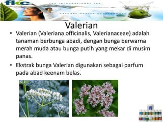 Valerian
• Valerian (Valeriana officinalis, Valerianaceae) adalah
tanaman berbunga abadi, dengan bunga berwarna
merah muda atau bunga putih yang mekar di musim
panas.
• Ekstrak bunga Valerian digunakan sebagai parfum
pada abad keenam belas.
 
