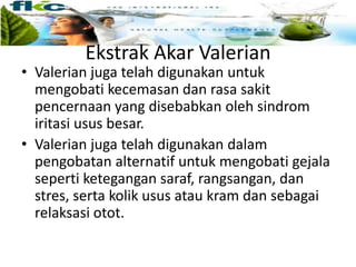 • Valerian juga telah digunakan untuk
mengobati kecemasan dan rasa sakit
pencernaan yang disebabkan oleh sindrom
iritasi usus besar.
• Valerian juga telah digunakan dalam
pengobatan alternatif untuk mengobati gejala
seperti ketegangan saraf, rangsangan, dan
stres, serta kolik usus atau kram dan sebagai
relaksasi otot.
Ekstrak Akar Valerian
 