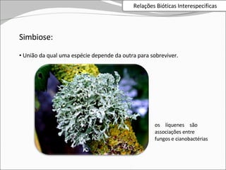 Simbiose: União da qual uma espécie depende da outra para sobreviver. os líquenes são  associações entre fungos e cianobactérias Relações Bióticas Interespecificas 