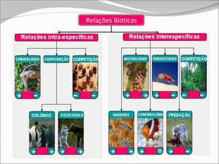 Relações Bióticas 