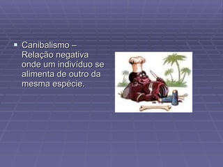 Canibalismo – Relação negativa onde um indivíduo se alimenta de outro da mesma espécie. 