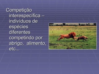 Competição interespecífica – indivíduos de espécies diferentes competindo por abrigo,  alimento, etc... 