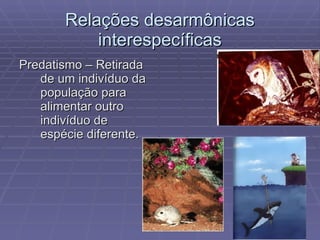 Relações desarmônicas interespecíficas Predatismo – Retirada de um indivíduo da população para alimentar outro indivíduo de espécie diferente. 