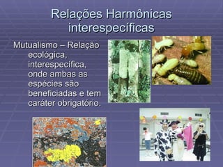 Relações Harmônicas interespecíficas Mutualismo – Relação ecológica, interespecífica, onde ambas as espécies são beneficiadas e tem caráter obrigatório. 