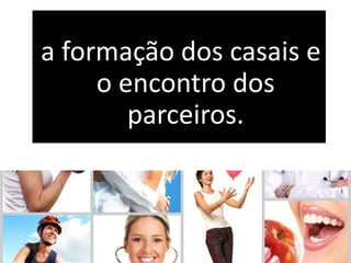 a formação dos casais e
o encontro dos
parceiros.
 