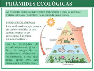 PIRÂMIDES ECOLÓGICAS
As pirâmides ecológicas representam graficamente o fluxo de energia e
matéria entre os níveis tróficos no decorrer da cadeia trófica.
PIRÂMIDE DE ENERGIA
Indica o fluxo de energia presente
em cada nível trófico de uma
cadeia alimentar de um
ecossistema. É expressa
quilocalorias (kcal).
Não há possibilidade de
inversão da pirâmide, já que o
fluxo de energia de um
ecossistema é unidirecional e
vai diminuindo a cada nível
trófico, apenas 10% será
passado para o próximo nível.
 