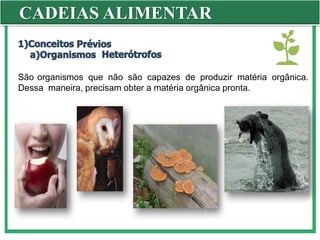 CADEIAS ALIMENTAR
São organismos que não são capazes de produzir matéria orgânica.
Dessa maneira, precisam obter a matéria orgânica pronta.
 