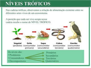 NÍVEIS TRÓFICOS
Nas cadeias tróficas, observamos a relação de alimentação existente entre os
diferentes seres vivos de um ecossistema.
A posição que cada ser vivo ocupa nessa
cadeia recebe o nome de NÍVEL TRÓFICO.
Os níveis são:
• Produtores
• Consumidores
• Decompositores
Primários
Secundários
Terciários
Quaternários
 