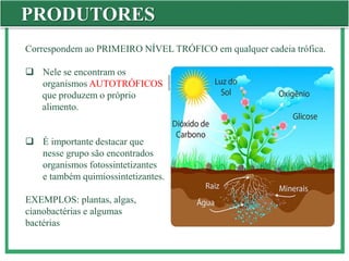 Correspondem ao PRIMEIRO NÍVEL TRÓFICO em qualquer cadeia trófica.
 Nele se encontram os
organismos AUTOTRÓFICOS
que produzem o próprio
alimento.
 É importante destacar que
nesse grupo são encontrados
organismos fotossintetizantes
e também quimiossintetizantes.
EXEMPLOS: plantas, algas,
cianobactérias e algumas
bactérias
PRODUTORES
 
